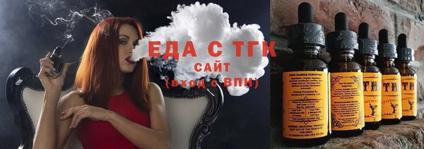 шишки Абаза