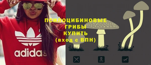 шишки Абаза