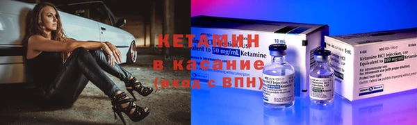 шишки Абаза