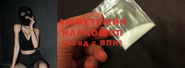 шишки Абаза