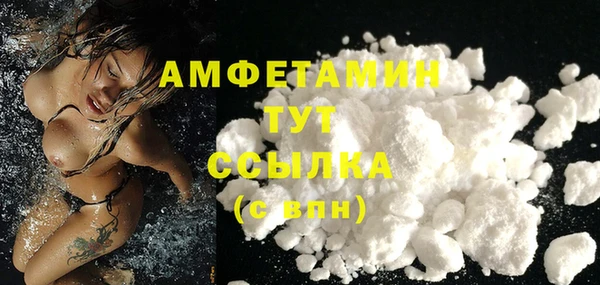 шишки Абаза