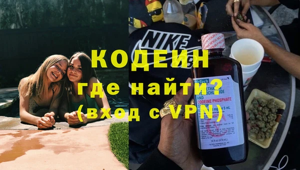 шишки Абаза