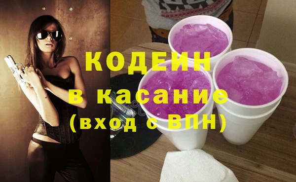 шишки Абаза