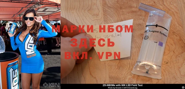 шишки Абаза