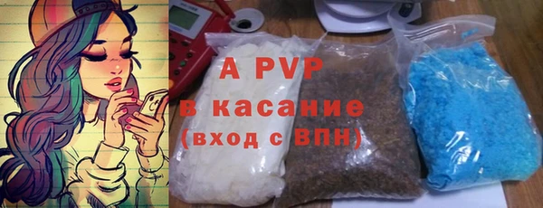 шишки Абаза