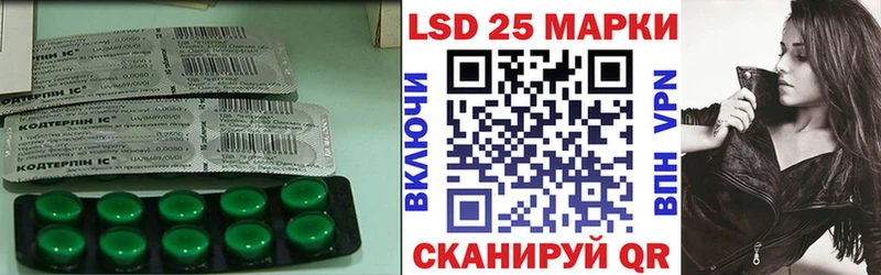ЛСД экстази кислота  mega маркетплейс  Каменка  где найти наркотики 