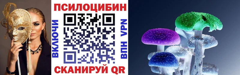 Галлюциногенные грибы Cubensis  Каменка 