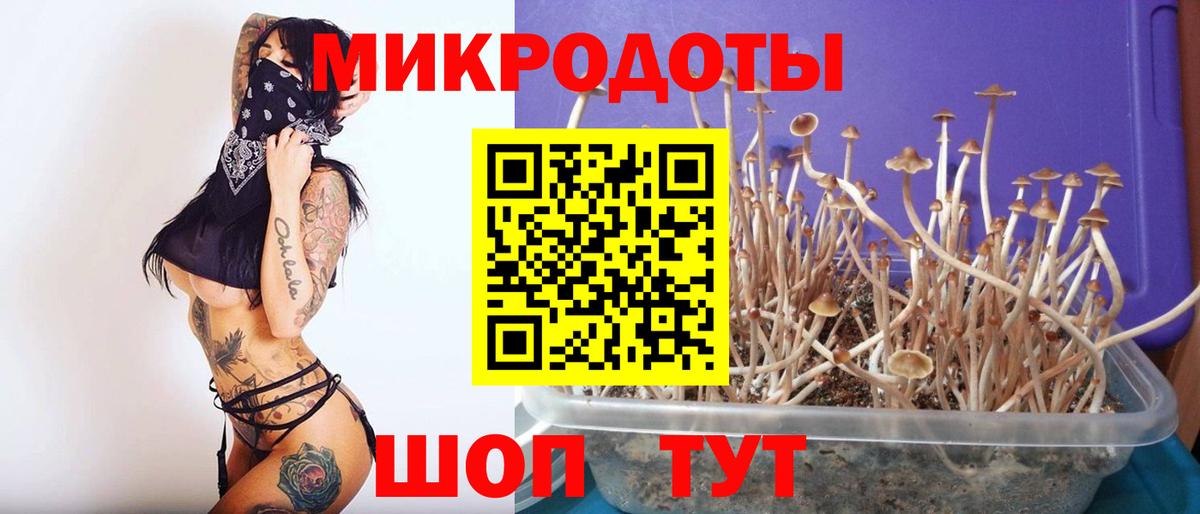 Каменка  Псилоцибиновые грибы Psilocybine cubensis  Галлюциногенные грибы мицелий  Вход с VPN 